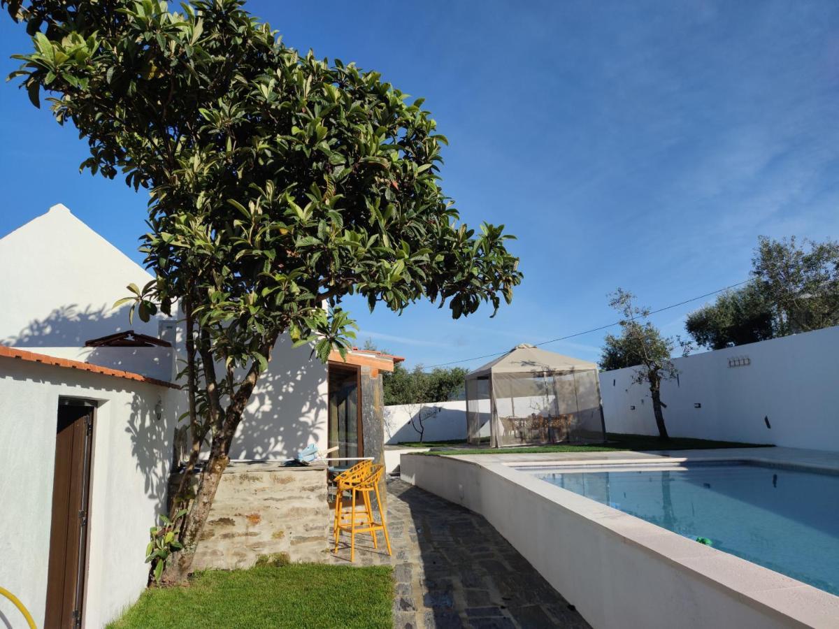 Pomar Das Oliveiras - Private Swimming Pool - Free Ev Chrg - Pet Friendly Carvalhal  외부 사진