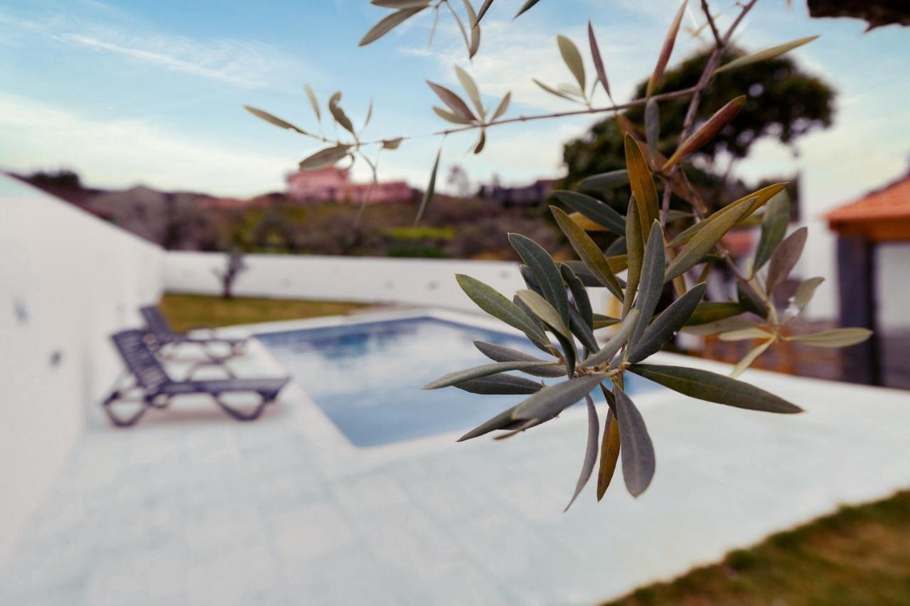 Pomar Das Oliveiras - Private Swimming Pool - Free Ev Chrg - Pet Friendly Carvalhal  외부 사진