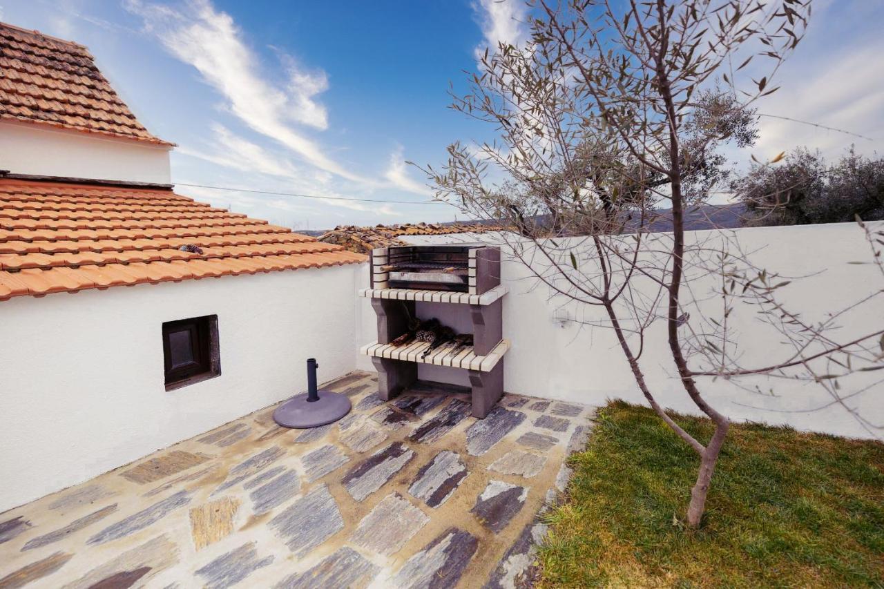 Pomar Das Oliveiras - Private Swimming Pool - Free Ev Chrg - Pet Friendly Carvalhal  외부 사진
